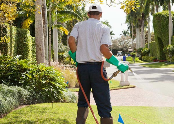 About New Berlin IL Pest Control
